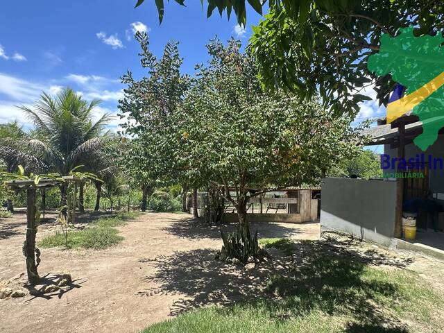 #1542 - Chácara para Venda em Porto Seguro - BA - 3
