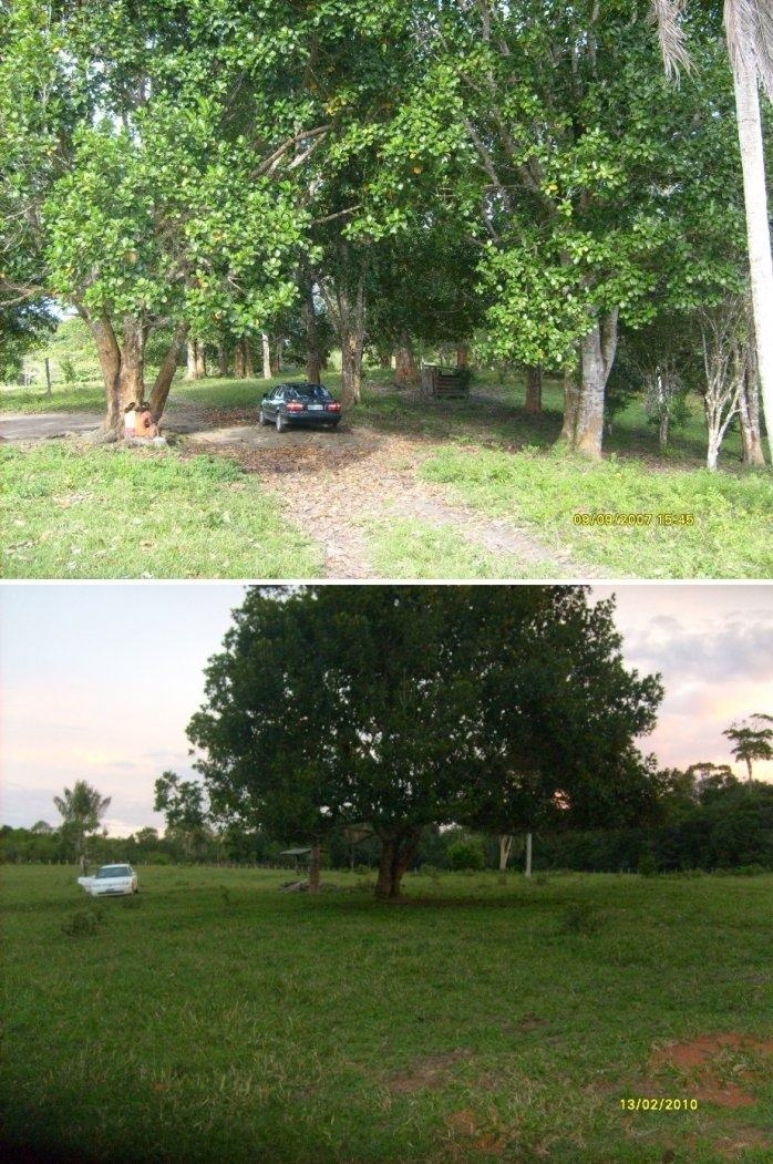 Terreno, 1442 m² - Foto 5