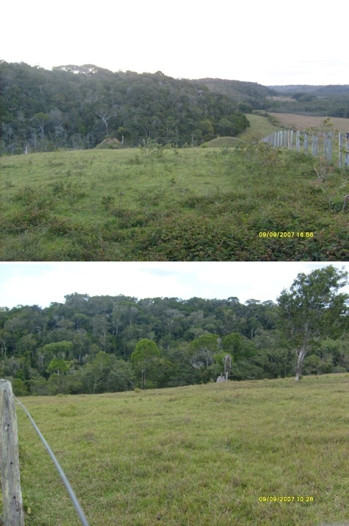 Terreno, 1442 m² - Foto 7