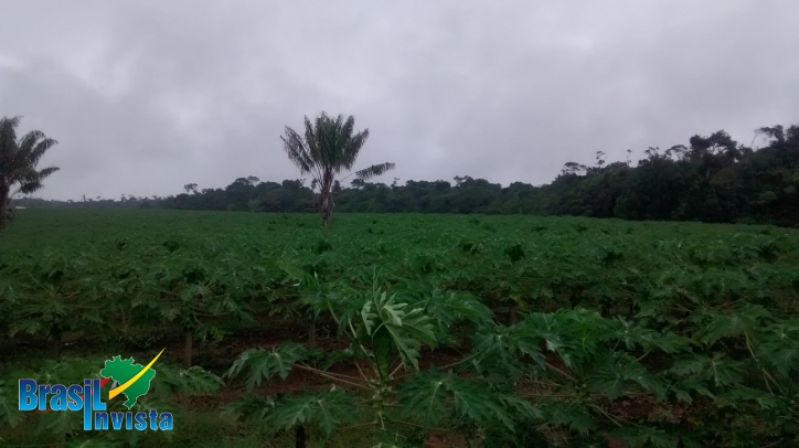 Terreno, 1442 m² - Foto 9