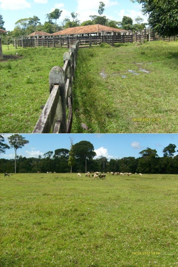 Terreno, 1442 m² - Foto 10