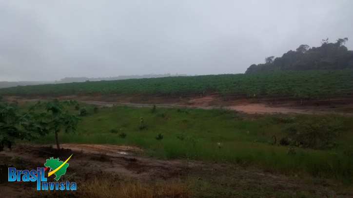 Terreno, 1442 m² - Foto 17