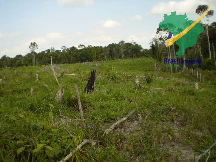 Terreno, 1268 hectares - Foto 6