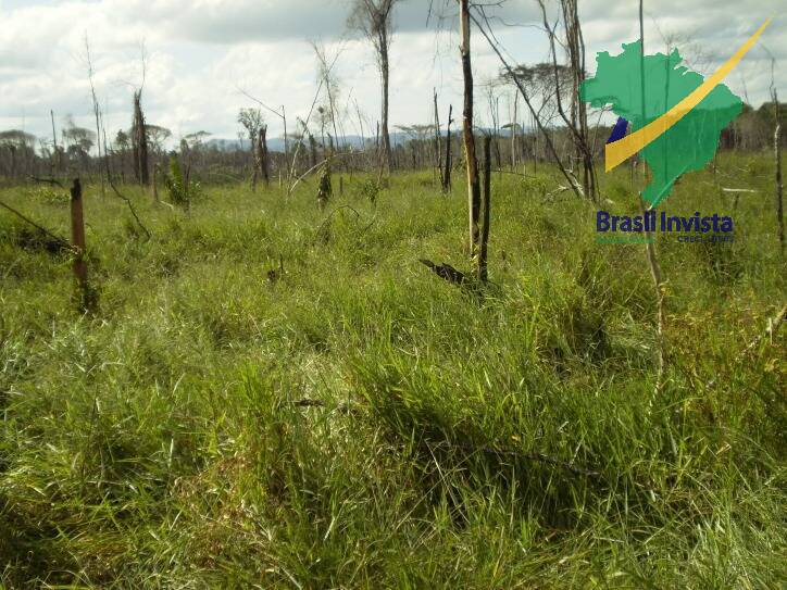 Terreno, 1268 hectares - Foto 7