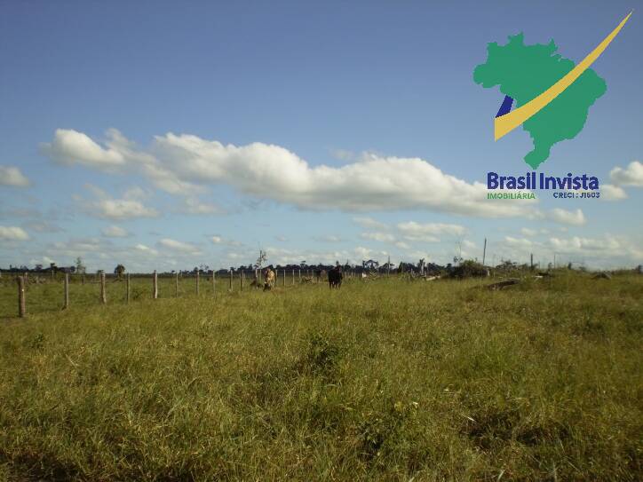 Terreno, 1268 hectares - Foto 8