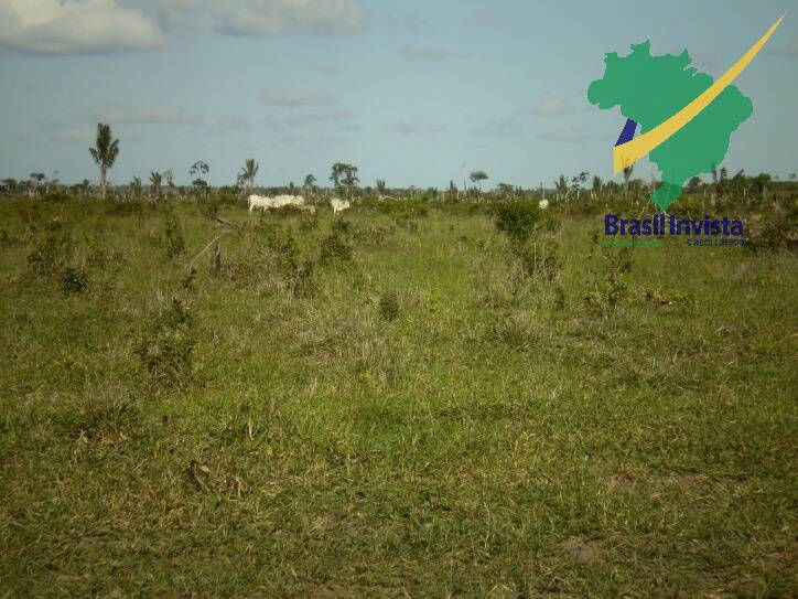 Terreno, 1268 hectares - Foto 9