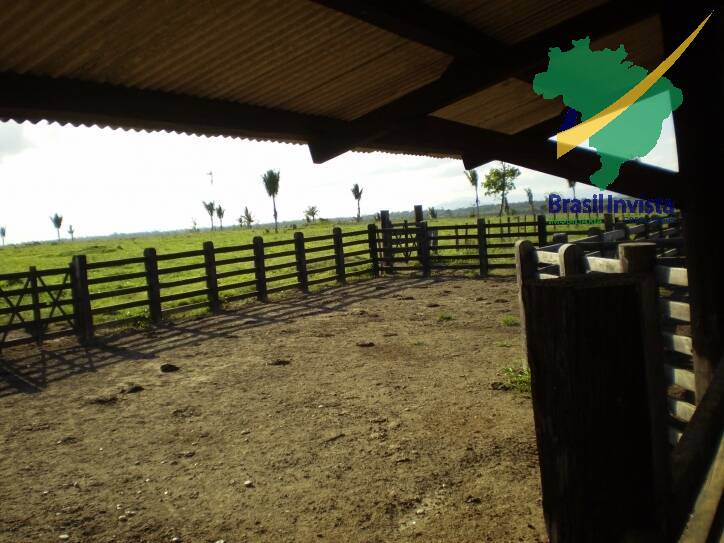 Terreno, 1268 hectares - Foto 11