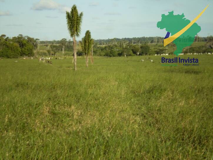 Terreno, 1268 hectares - Foto 12