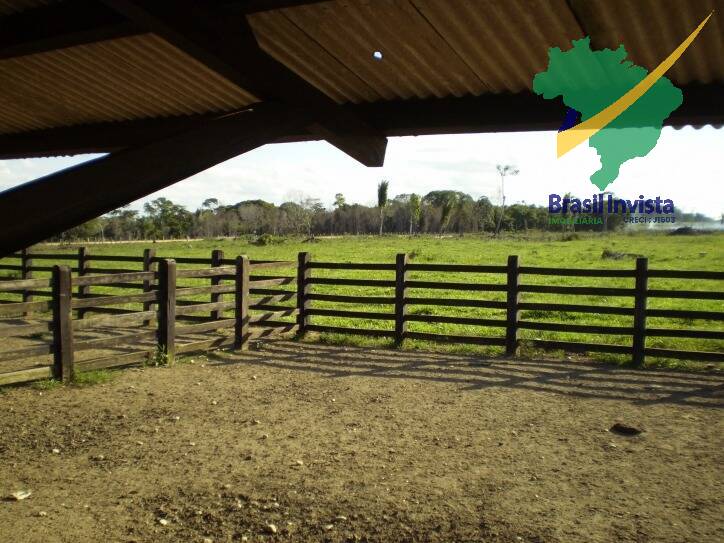 Terreno, 1268 hectares - Foto 13