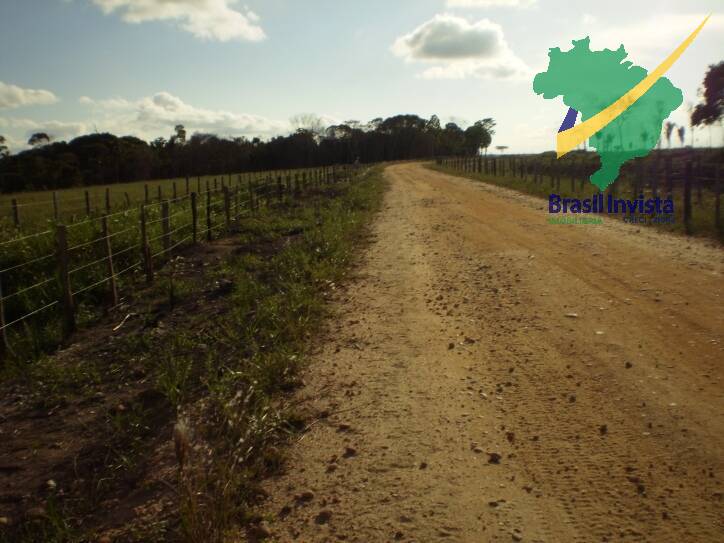 Terreno, 1268 hectares - Foto 14