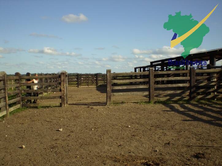 Terreno, 1268 hectares - Foto 15