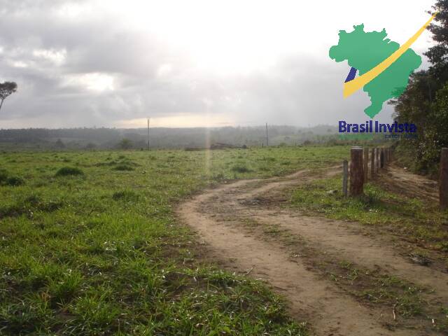 Terreno, 1268 hectares - Foto 16