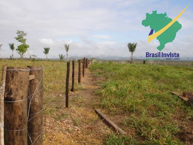 Terreno, 1268 hectares - Foto 17