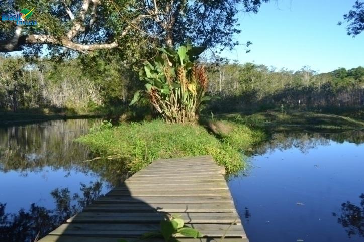Chácara à venda com 7 quartos, 10700m² - Foto 5