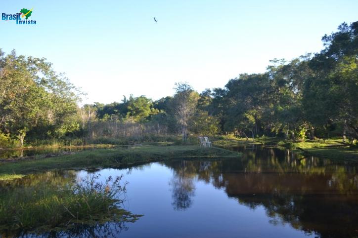 Chácara à venda com 7 quartos, 10700m² - Foto 10