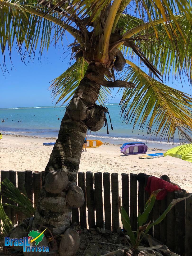 Prédio Inteiro, 427 m² - Foto 11