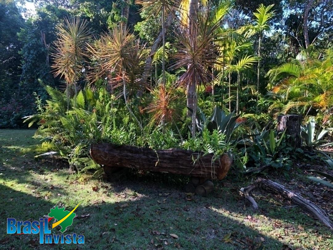 Casa, 3 quartos - Foto 29