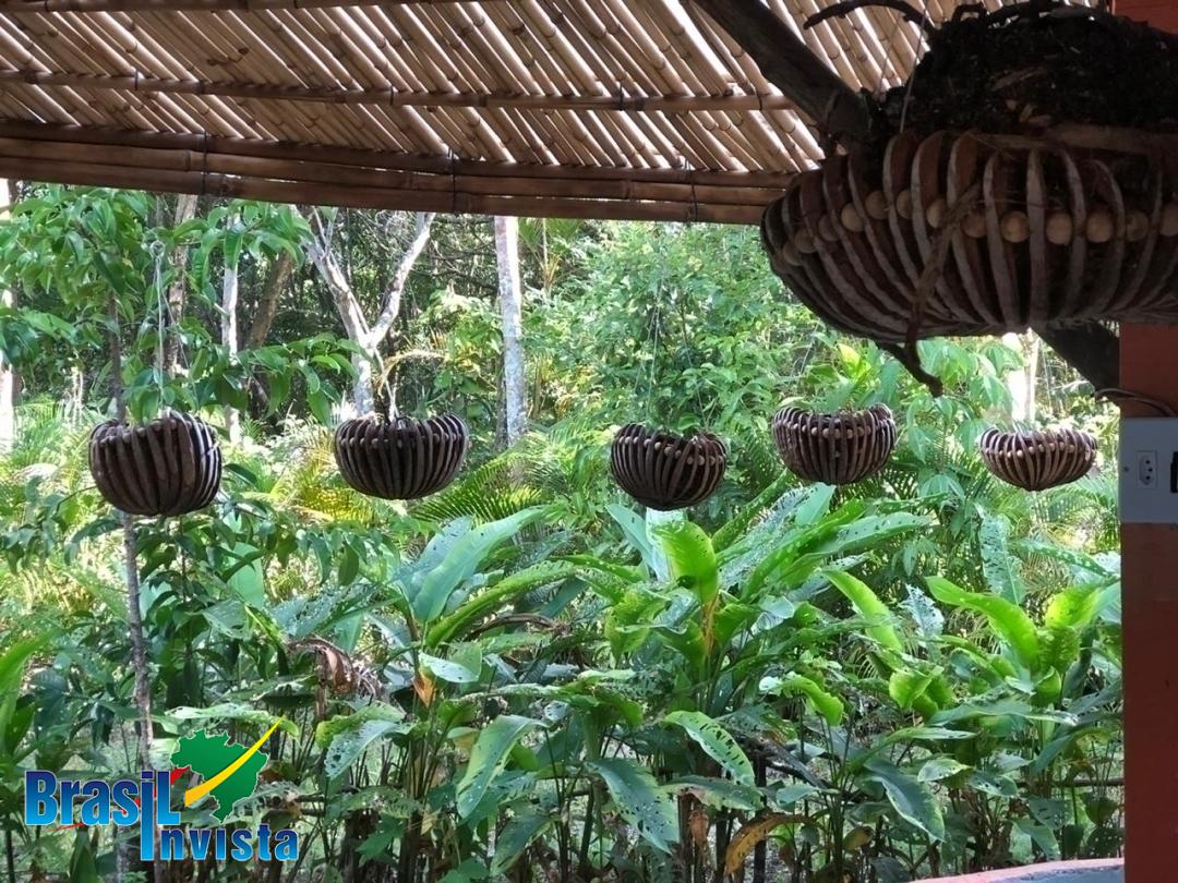 Casa, 3 quartos - Foto 26