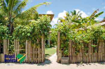 Sala-Conjunto - Foto 1