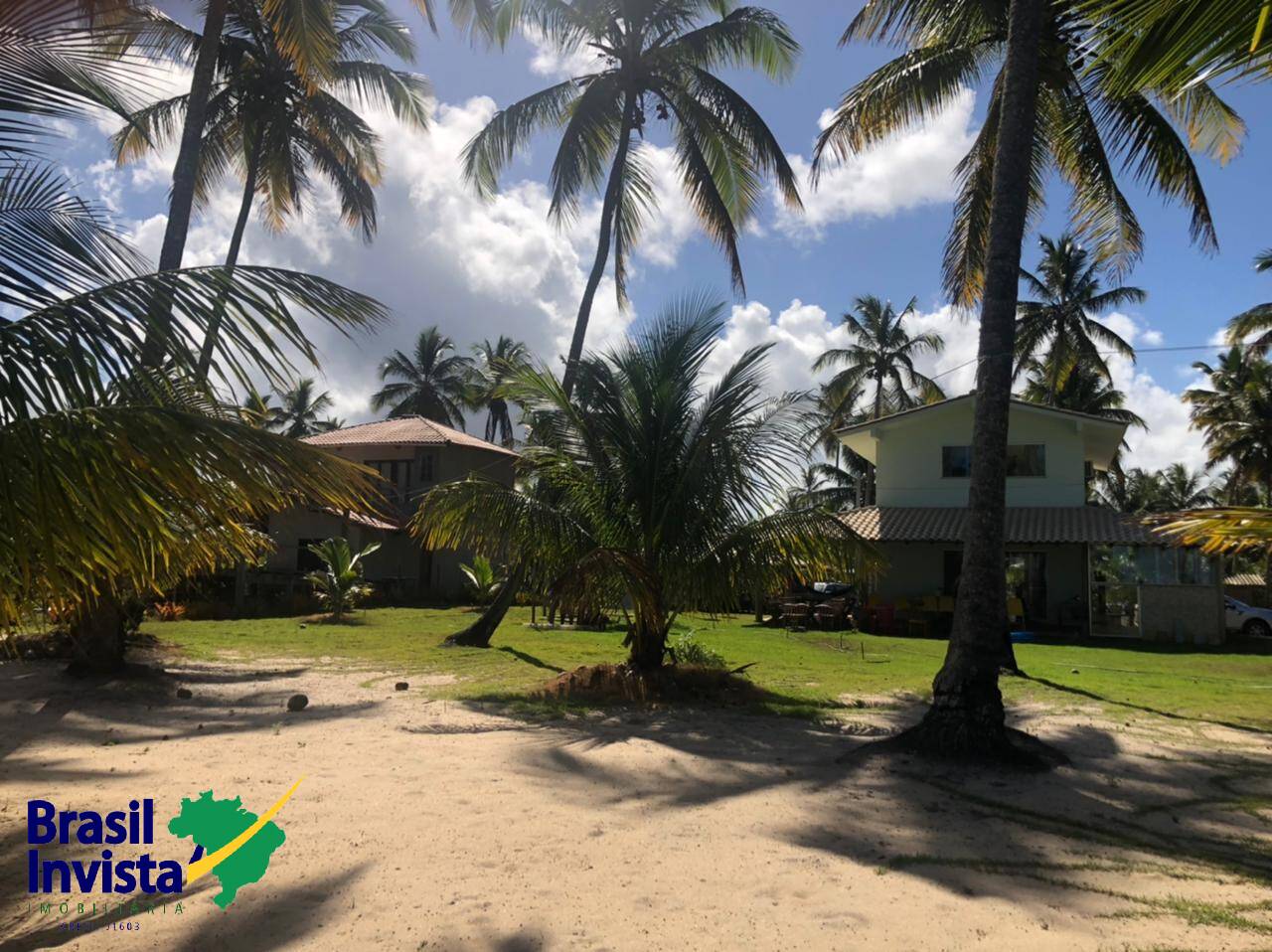 Terreno, 10 hectares - Foto 6