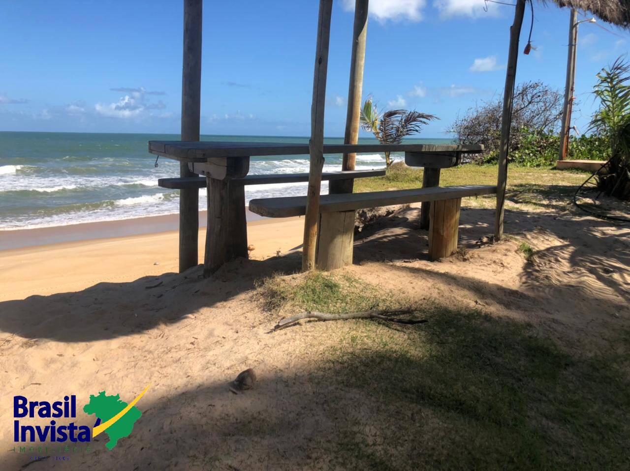 Terreno, 10 hectares - Foto 4