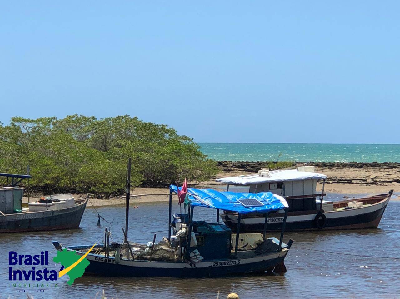 Terreno, 10 hectares - Foto 8