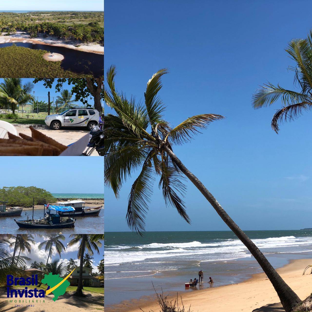 Terreno, 10 hectares - Foto 13