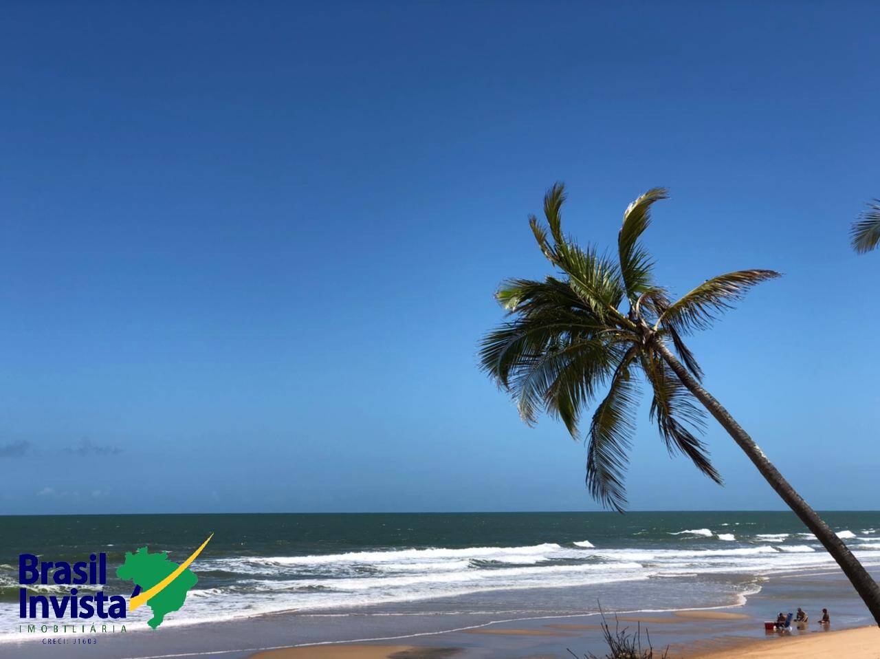 Terreno, 10 hectares - Foto 16