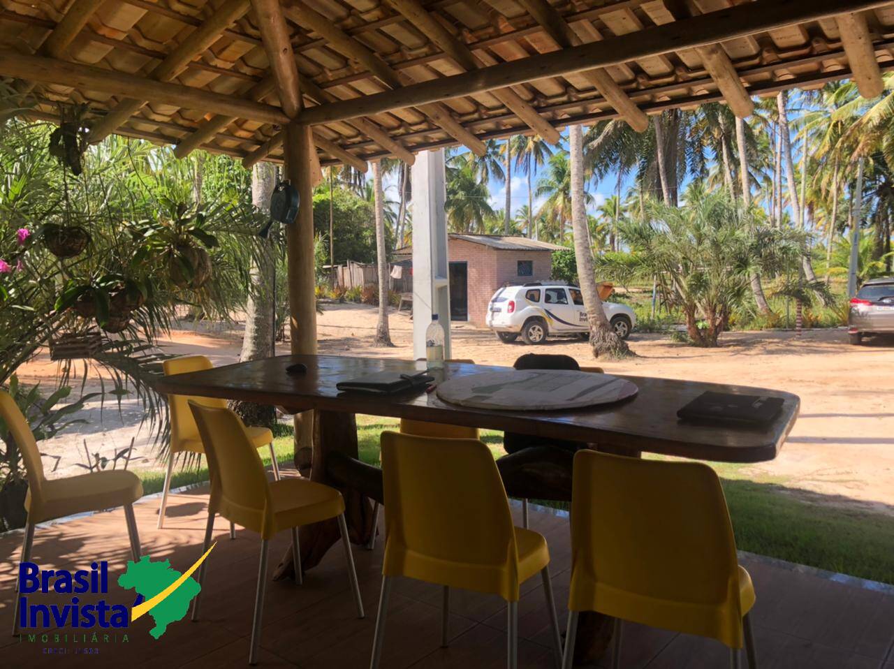 Terreno, 10 hectares - Foto 18