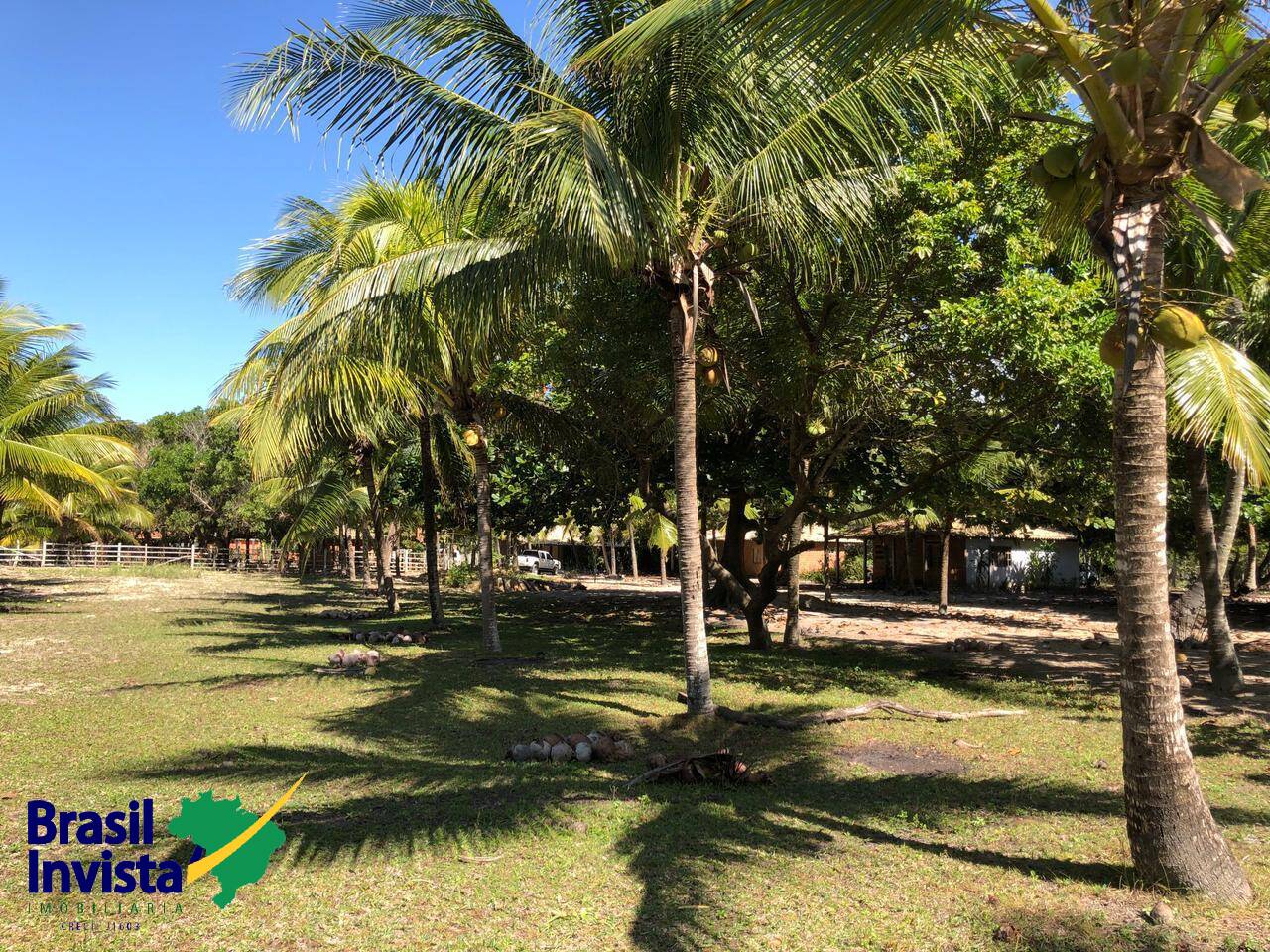 Terreno, 5750 m² - Foto 5