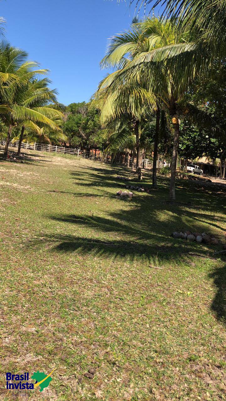 Terreno, 5750 m² - Foto 8