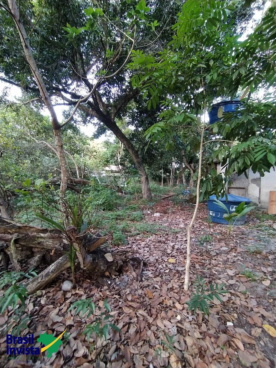 Terreno, 2600 m² - Foto 2