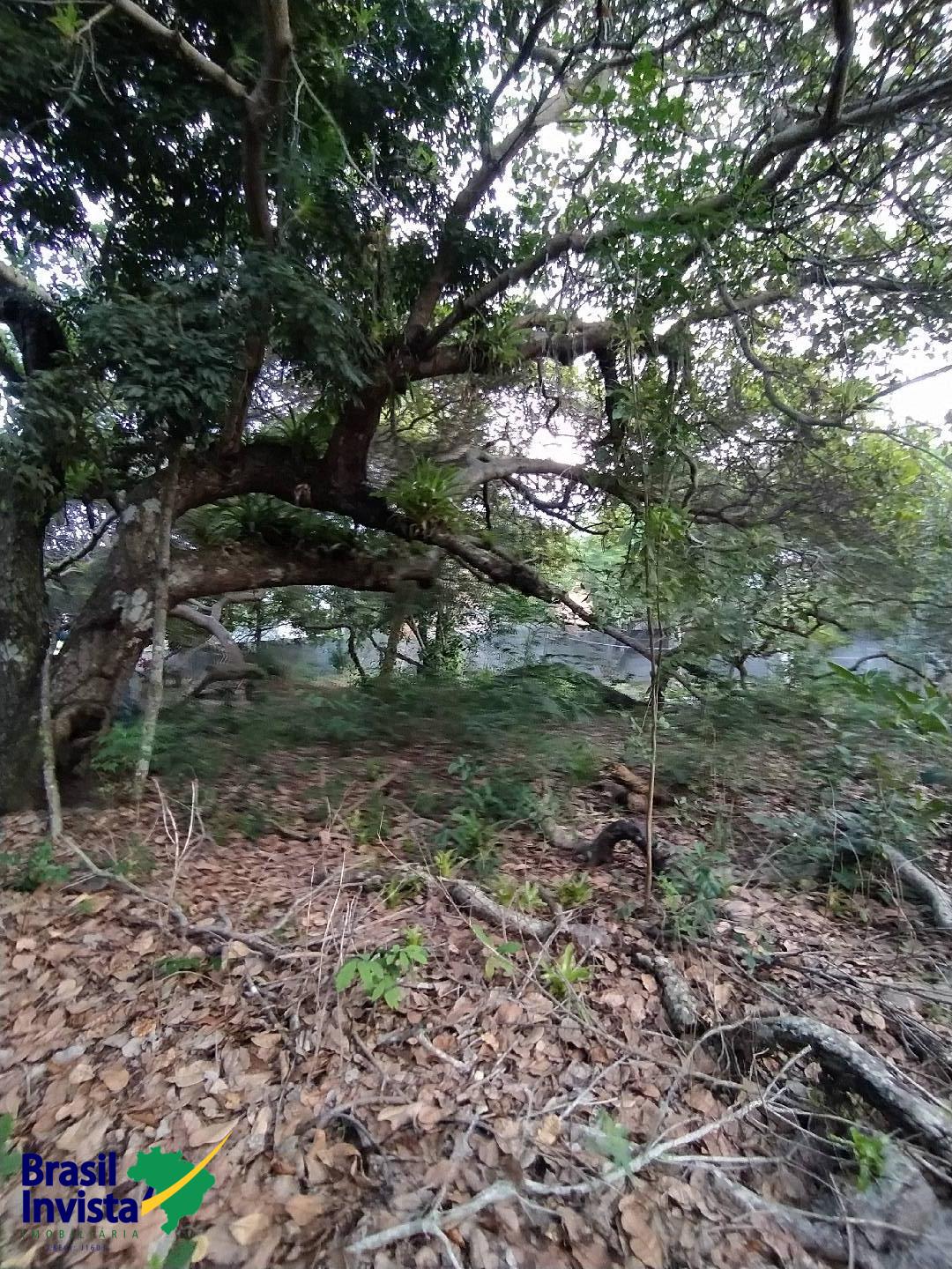 Terreno, 2600 m² - Foto 3