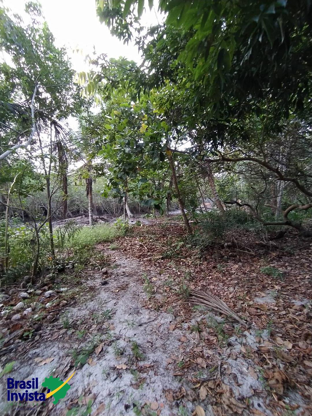 Terreno, 2600 m² - Foto 4