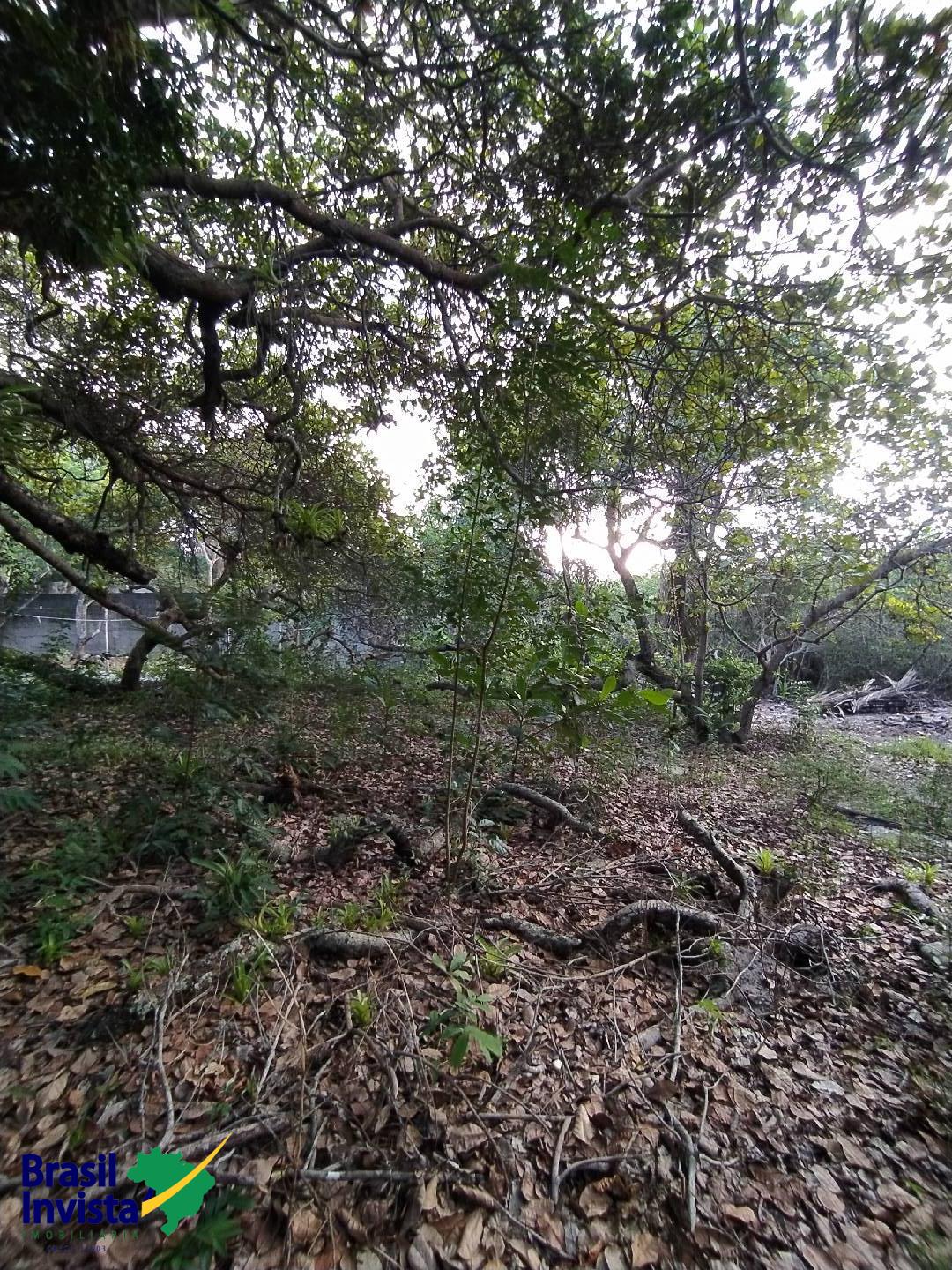 Terreno, 2600 m² - Foto 5