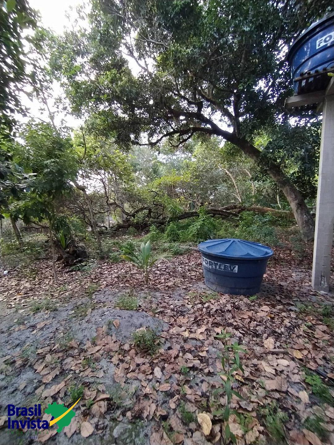 Terreno, 2600 m² - Foto 8