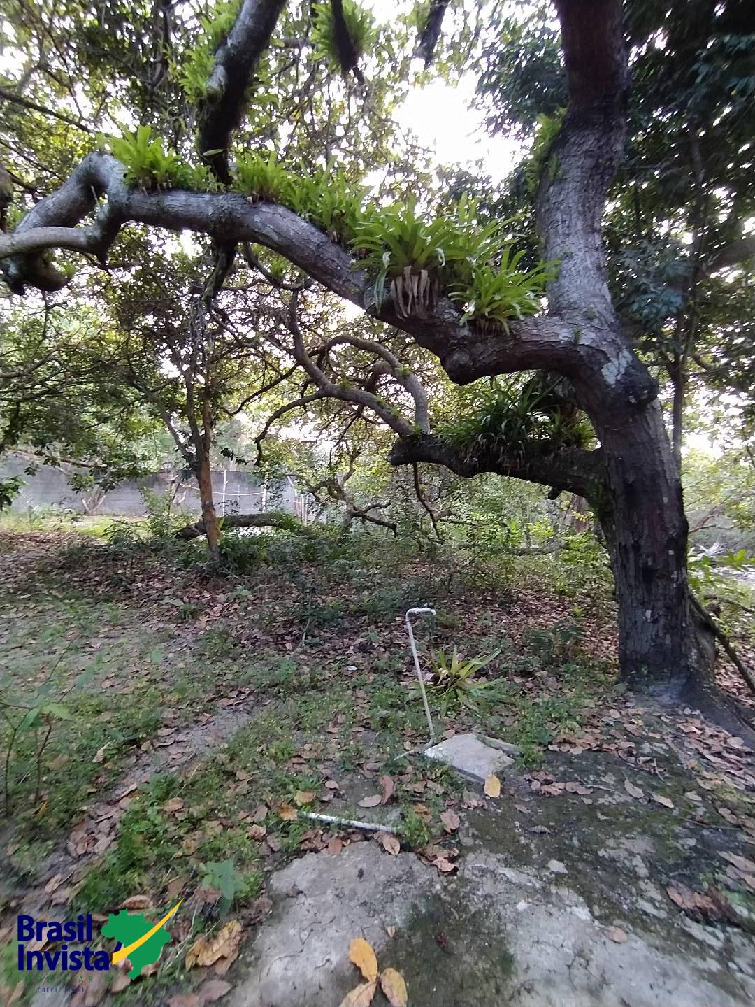 Terreno, 2600 m² - Foto 9