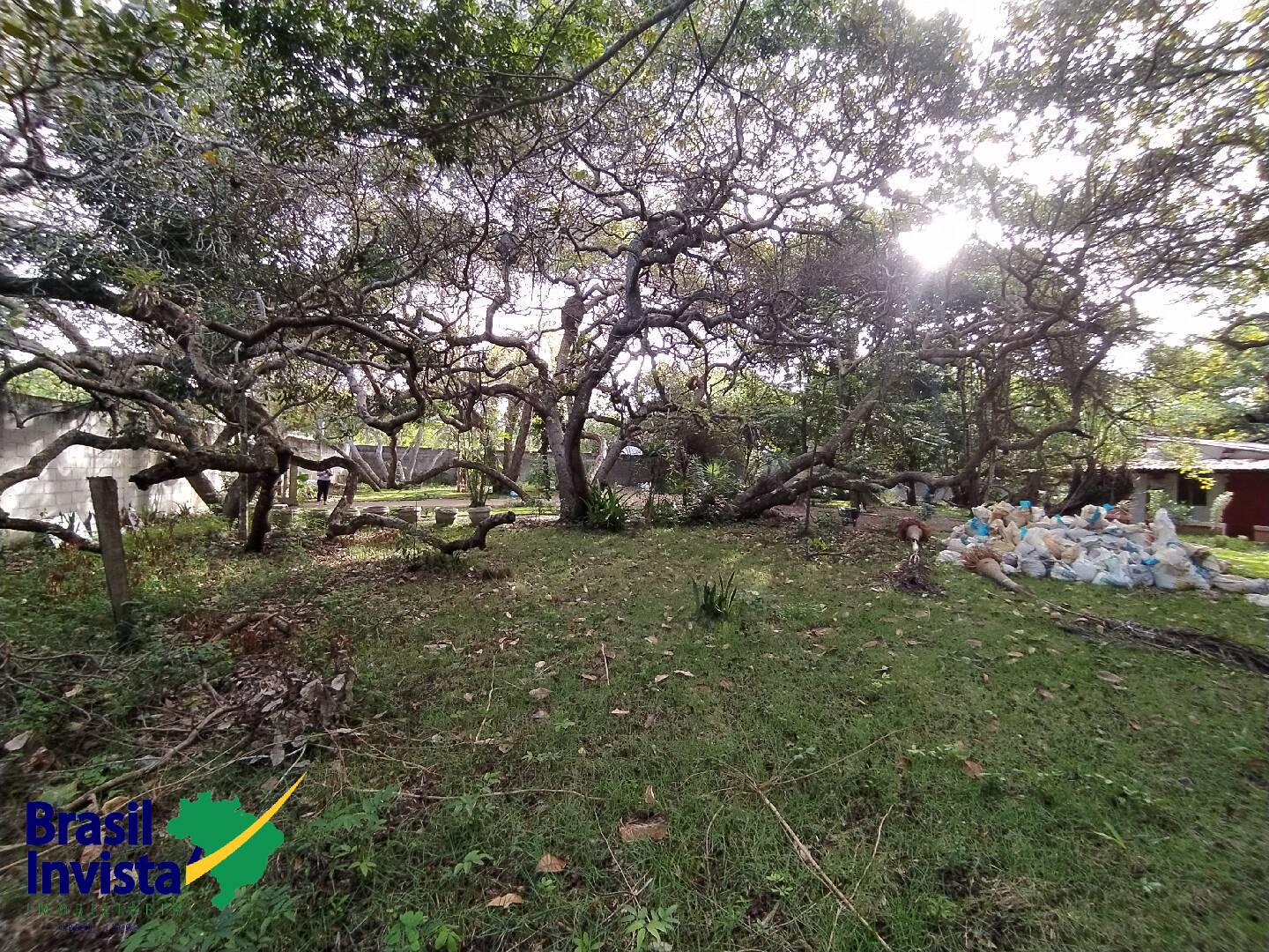 Terreno, 2600 m² - Foto 17