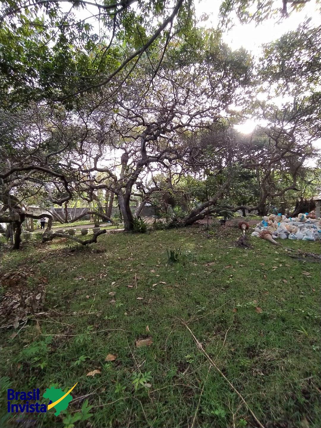 Terreno, 2600 m² - Foto 18