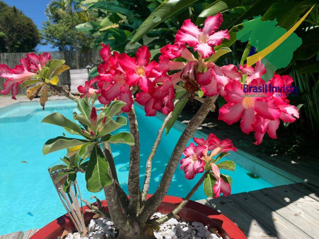 Casa, 3 quartos - Foto 12