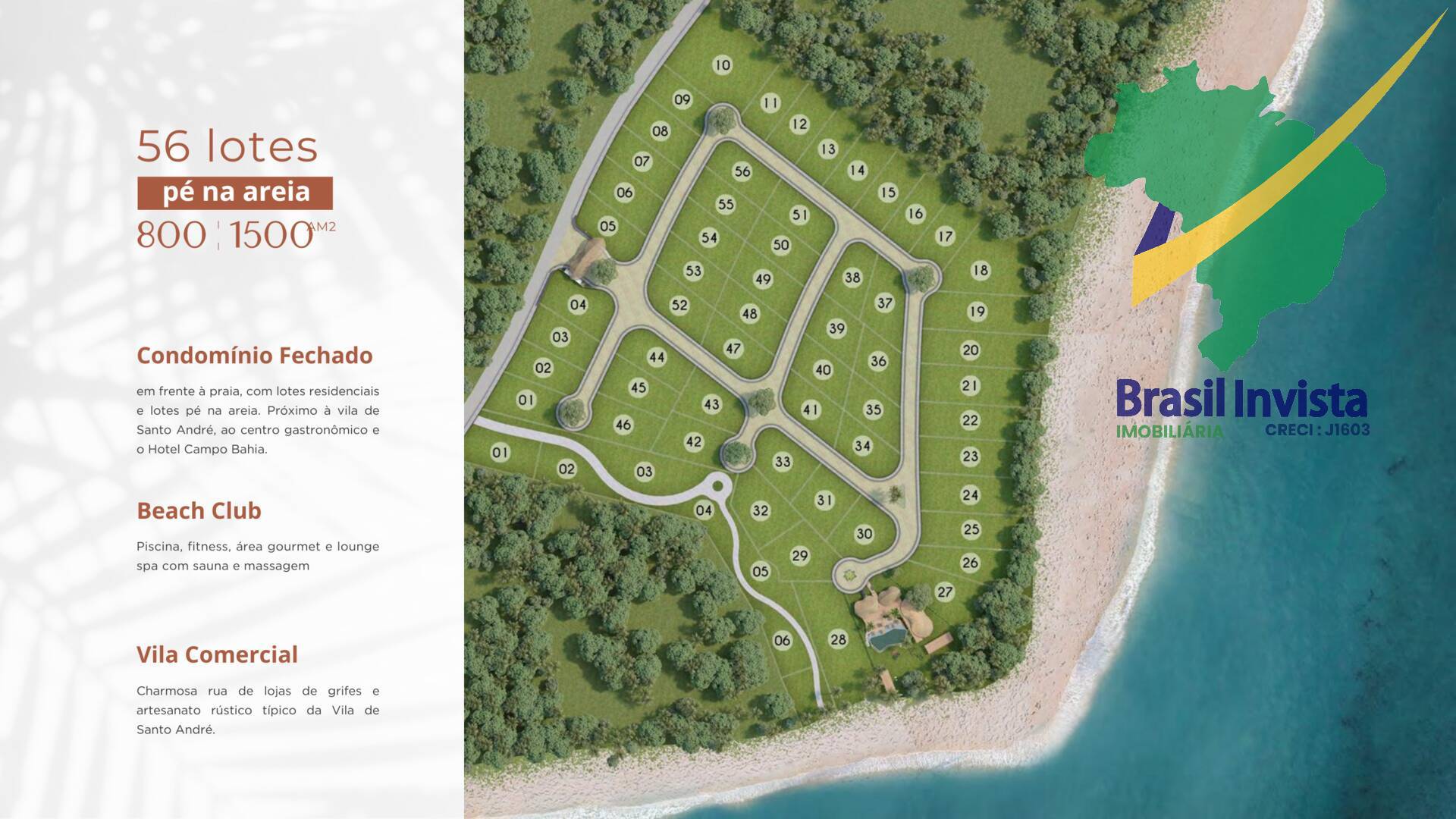 Terreno, 800 hectares - Foto 2