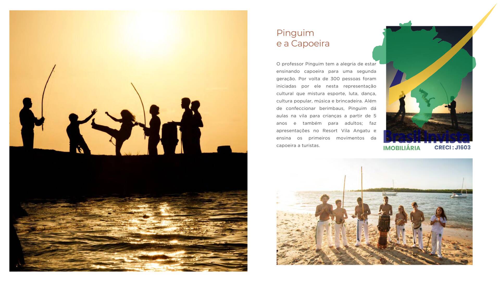 Terreno, 800 hectares - Foto 6