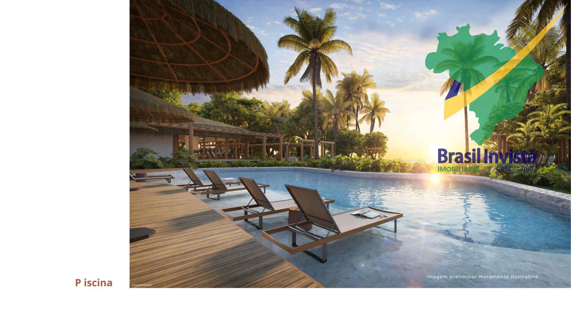 Terreno, 800 hectares - Foto 7