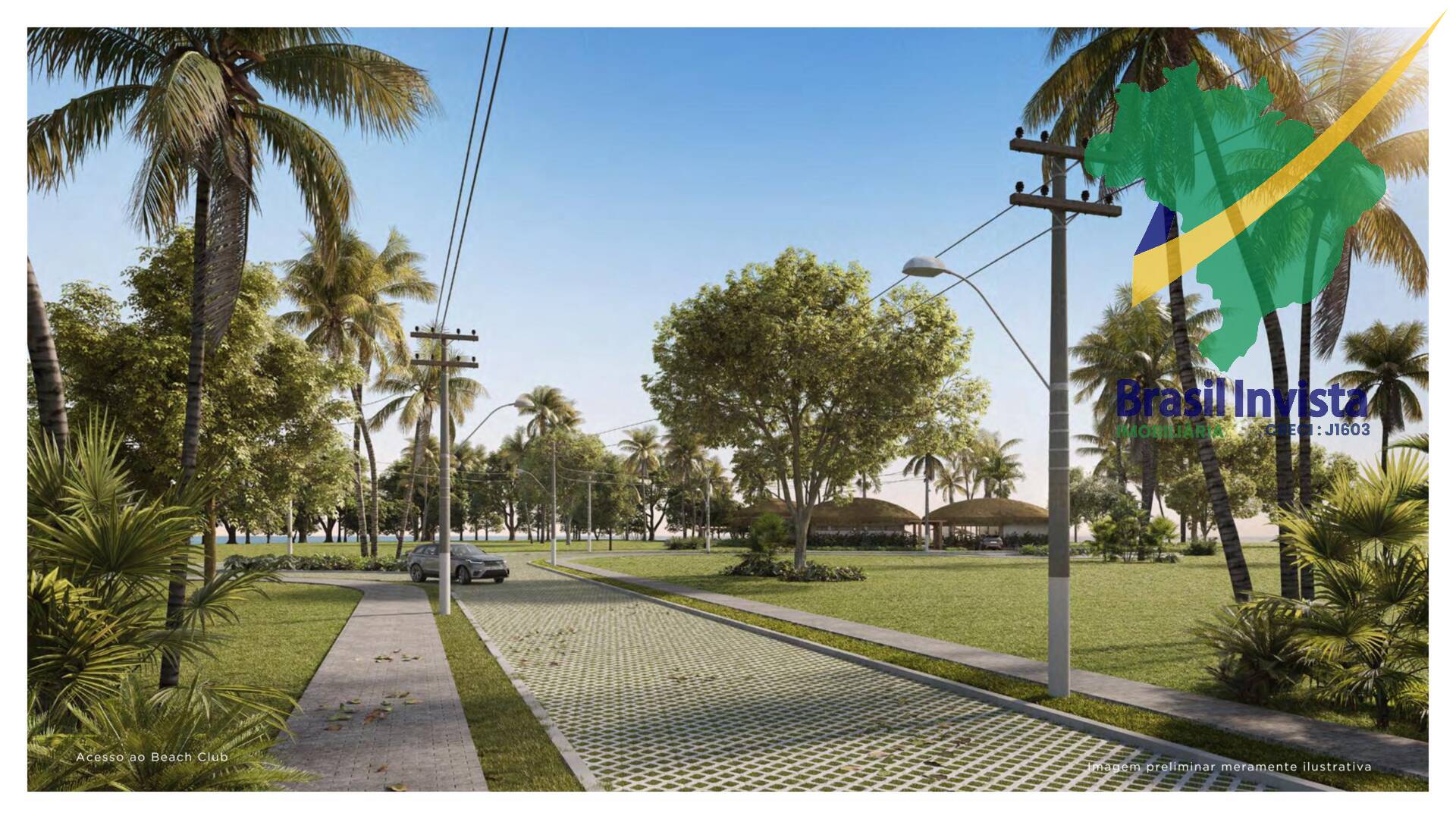 Terreno, 800 hectares - Foto 8