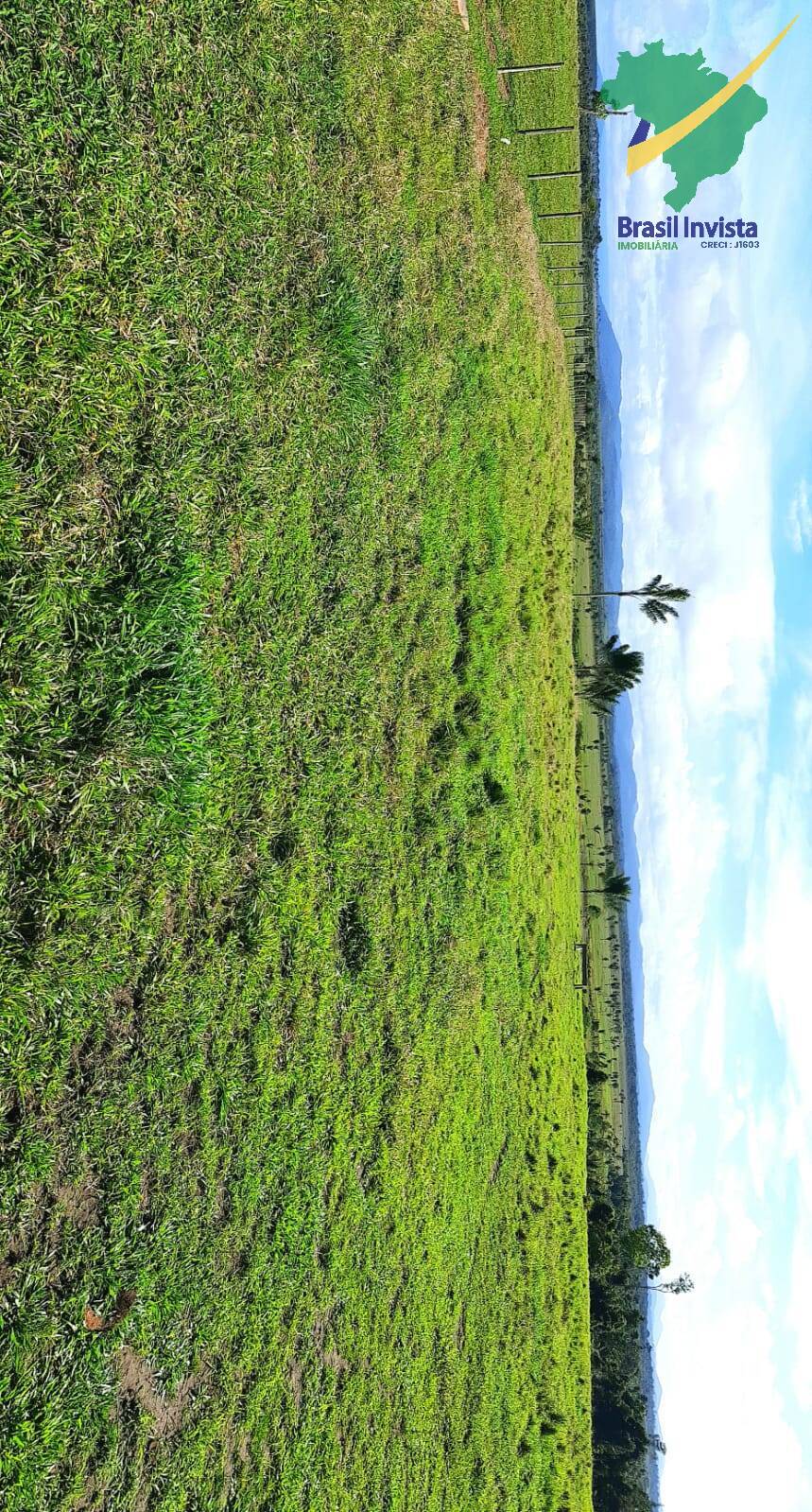 Terreno, 1268 hectares - Foto 22