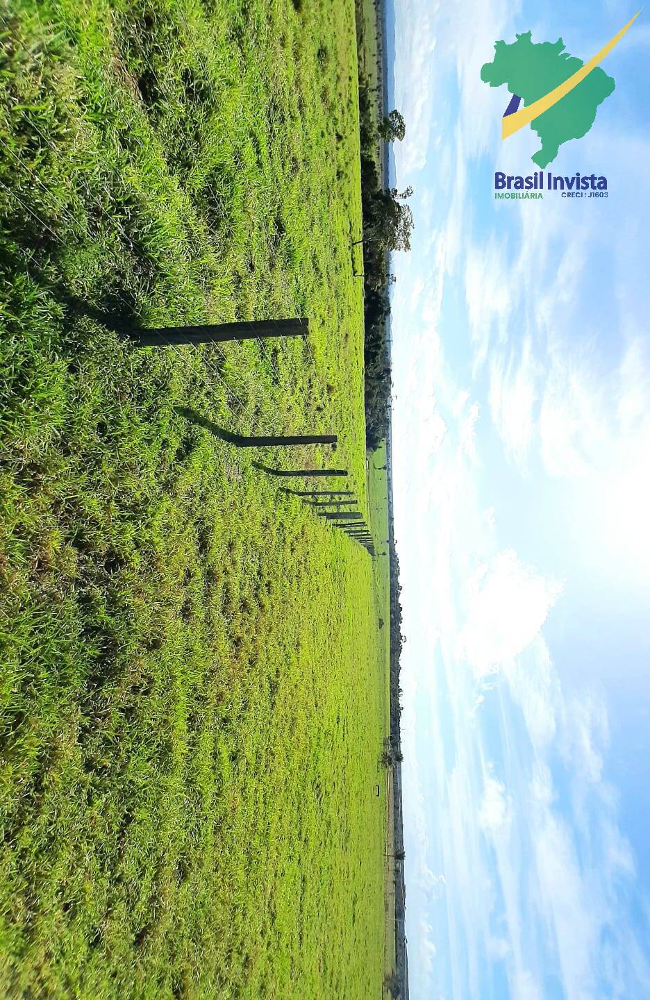 Terreno, 1268 hectares - Foto 23