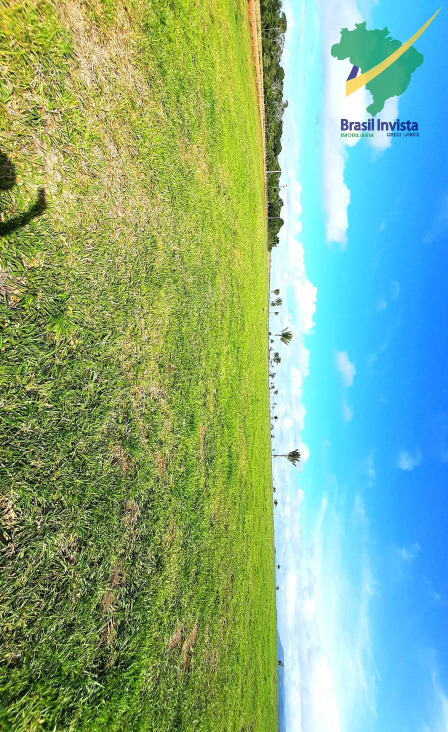 Terreno, 1268 hectares - Foto 24