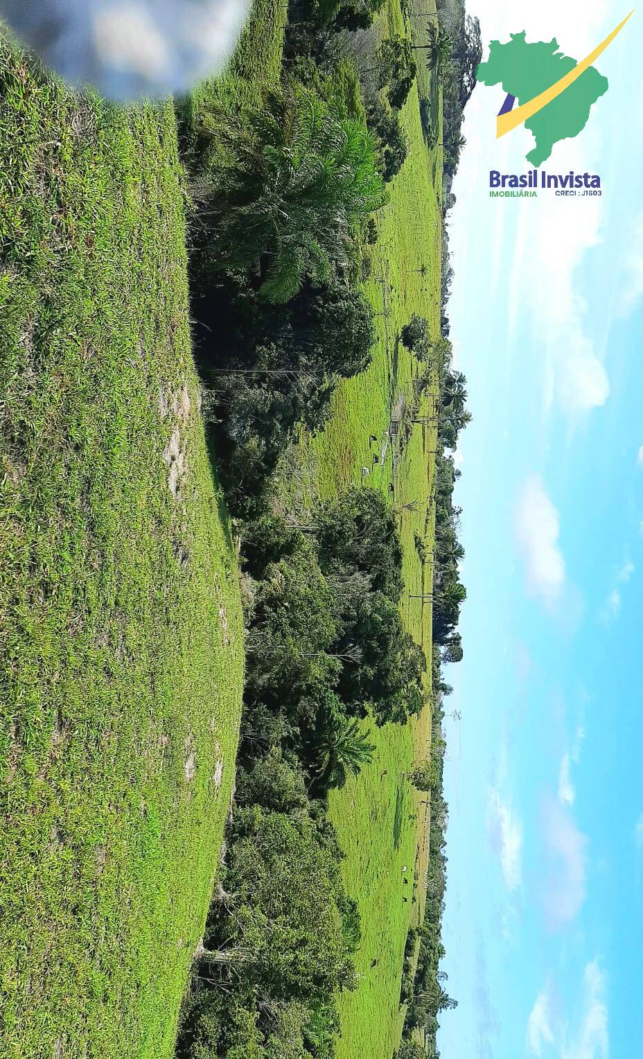 Terreno, 1268 hectares - Foto 25