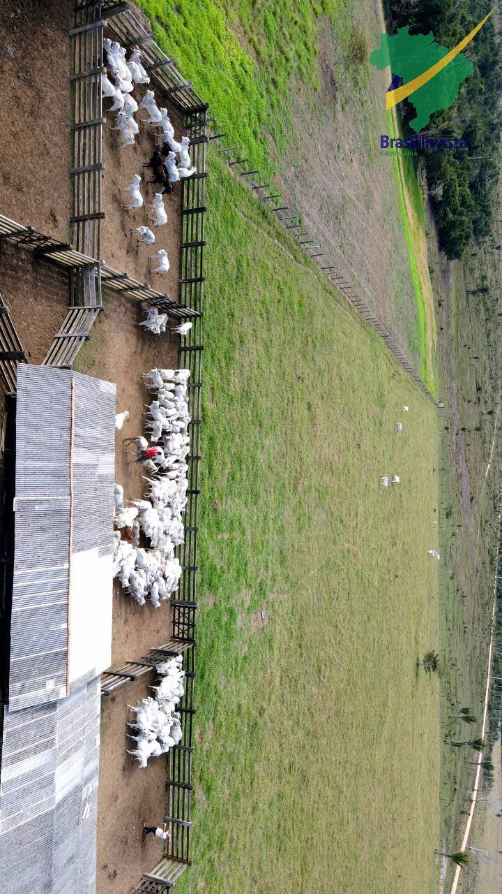 Terreno, 1268 hectares - Foto 27