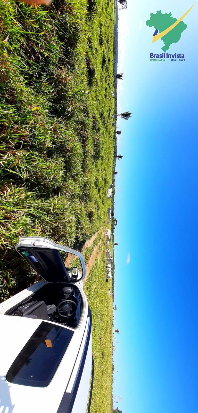 Terreno, 1268 hectares - Foto 28